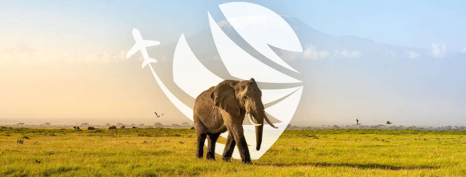 vaction banner